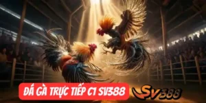 Tìm Hiểu Luật Chơi Đá Gà Trực Tiếp C1 SV388 Cho Tân Thủ