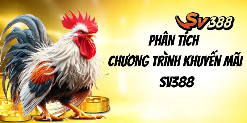 Phân tích các khuyến mãi sv388 hấp dẫn nhất hiện nay