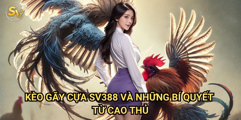 Kèo Gãy Cựa Sv388: Chiến Thuật Đặt Cược Thông Minh Nhất 3 Kèo Gãy Cựa Sv388 Và Những Bí Quyết Từ Cao Thủ