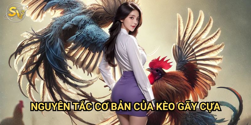Kèo Gãy Cựa Sv388: Chiến Thuật Đặt Cược Thông Minh Nhất 2 Nguyên Tắc Cơ Bản Của Kèo Gãy Cựa